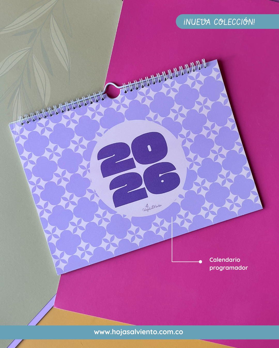 Dream Plan Do  (programador)