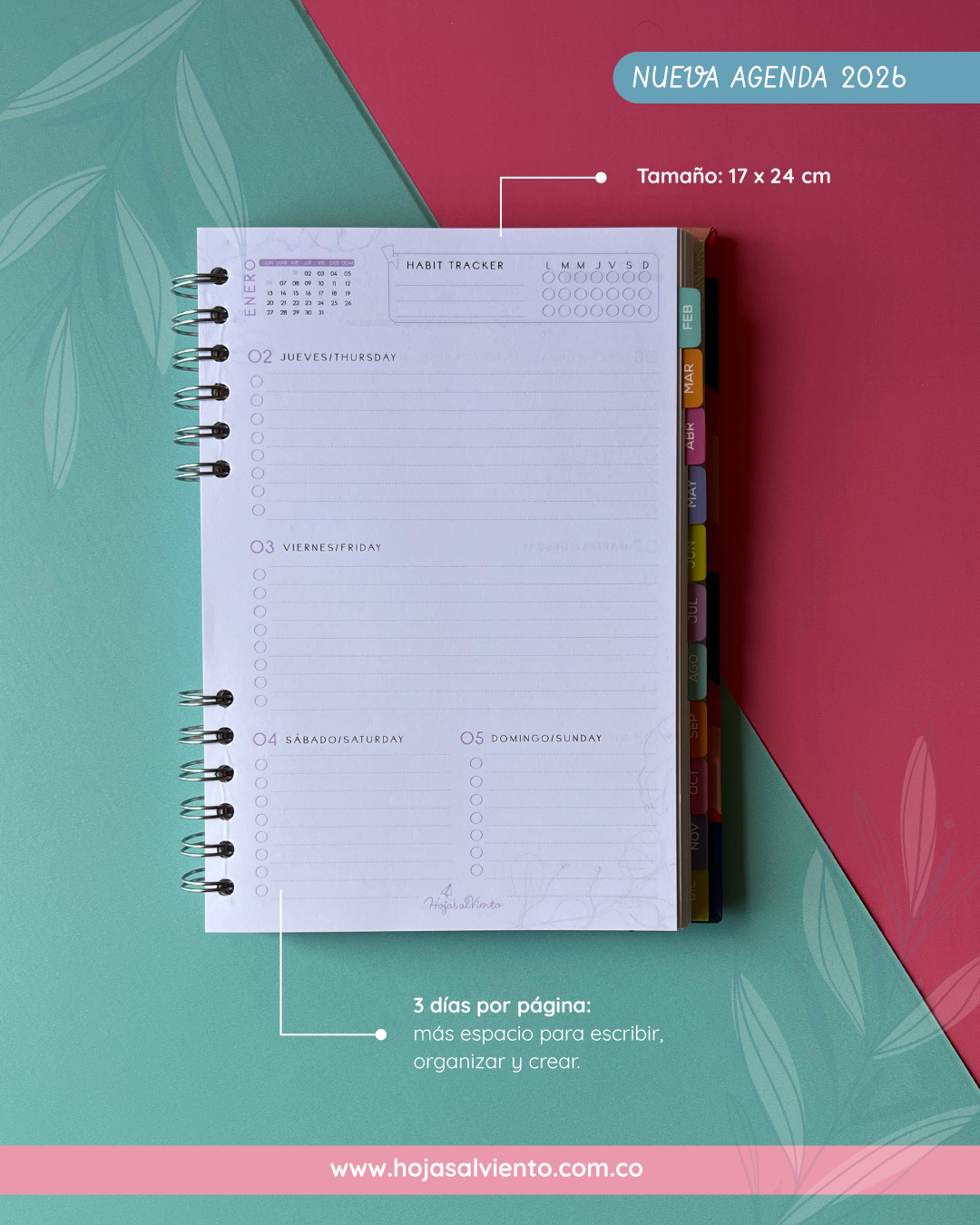 Dream Plan Do  (programador)