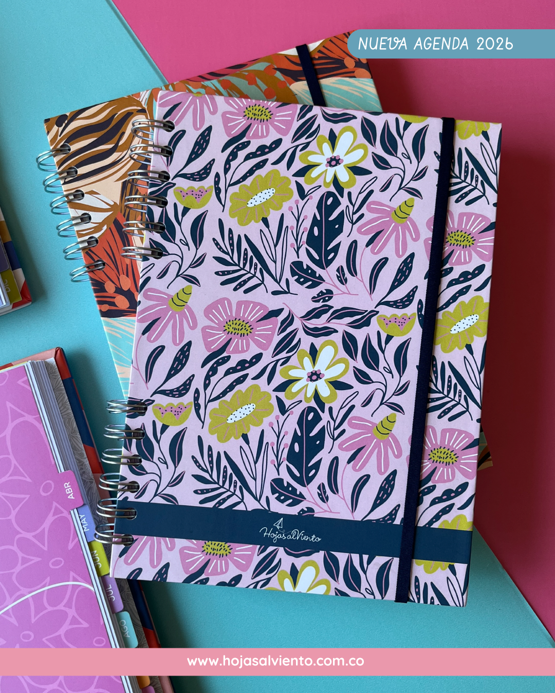 Dream Plan Do  (programador)