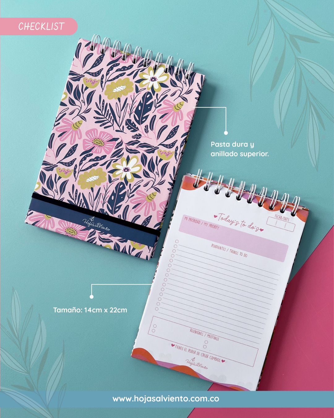 Dream Plan Do  (programador)