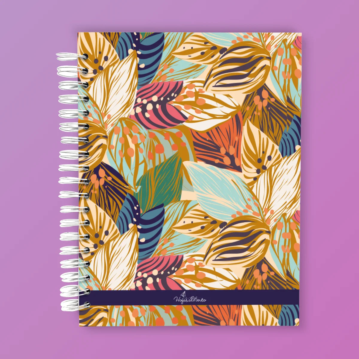 CUADERNO 1 MATERIA CARTA